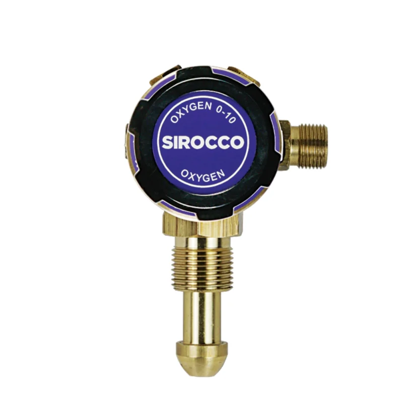 Parweld Oxygen Regulator Plugged E700102